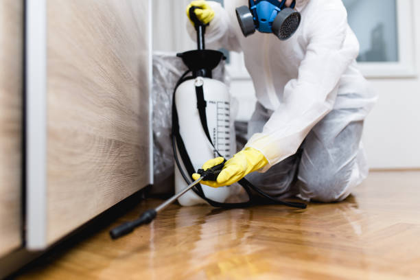 Best Termite Control Services  in Johnson Creek, WI