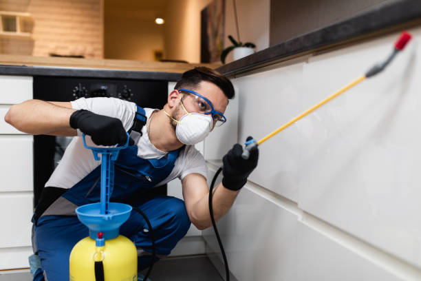 Best Pest Control Treatment  in Johnson Creek, WI