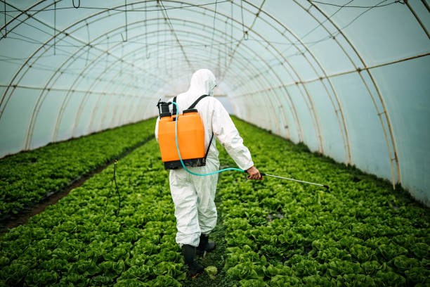 Best Pest Prevention Services  in Johnson Creek, WI