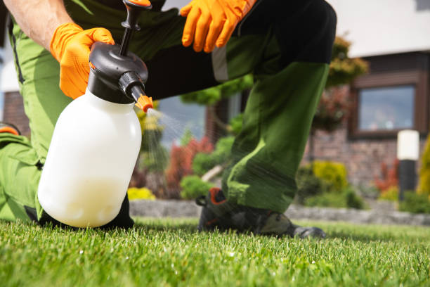 Best Local Pest Control Services  in Johnson Creek, WI