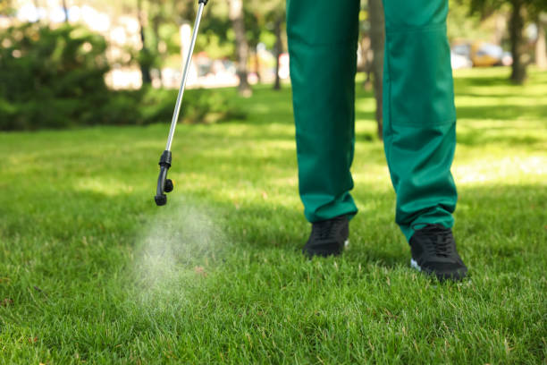 Flea Control Services in Johnson Creek, WI