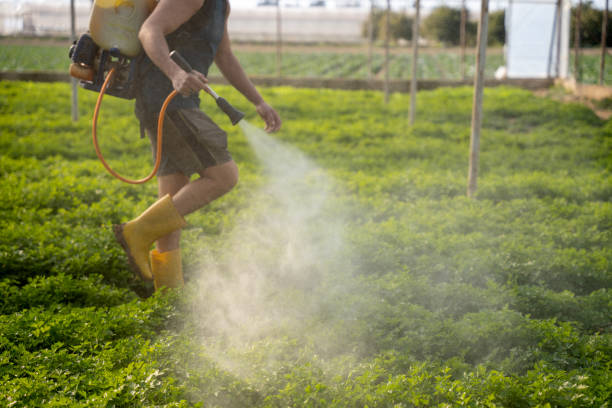 Best Best Pest Control Companies  in Johnson Creek, WI