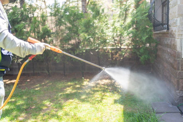 Professional Pest Control in Johnson Creek, WI