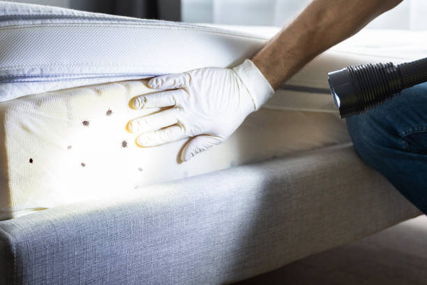 Best Best Pest Control Near Me  in Johnson Creek, WI