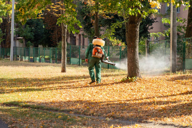 Best Pest Control Near Me  in Johnson Creek, WI