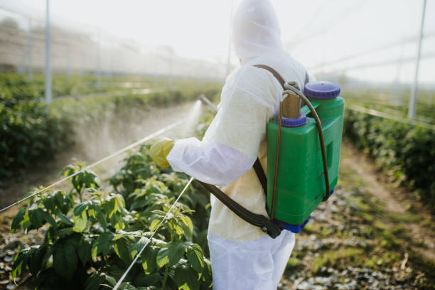 Best Commercial Pest Control Services  in Johnson Creek, WI